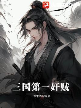 三国第一军师小说